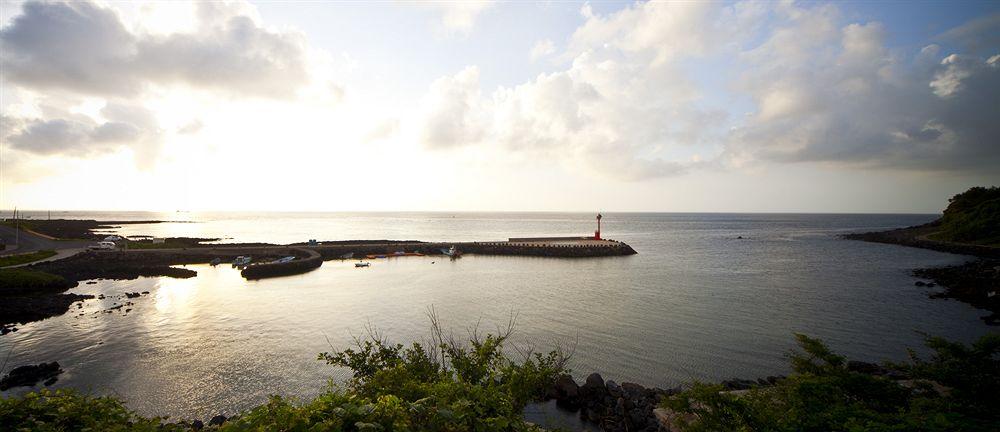 Stanford Hotel And Resort Jeju Bagian luar foto